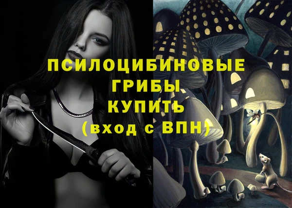 ПСИЛОЦИБИНОВЫЕ ГРИБЫ Алексеевка