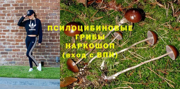 ПСИЛОЦИБИНОВЫЕ ГРИБЫ Алексеевка