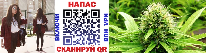 Бошки Шишки Bruce Banner  купить наркотик  кракен маркетплейс  Северская 